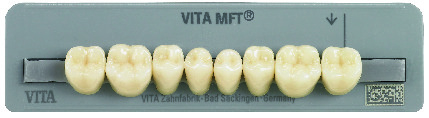 Array - Denti Mft x 8 Col B2 Pl31 Vita