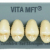 Laboratorio - Denti Mft x 8 Col B1 Pu29 Vita