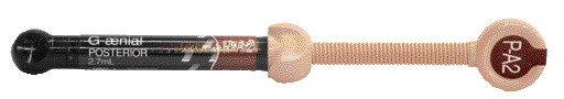 G-AENIAL POSTERIORI Standard P-A2 G-AENIAL POSTERIORI Standard P-A2