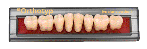 SR ORTHOTYP X8 COL.3E N6I IVOCLAR SR ORTHOTYP X8 COL.3E N6I IVOCLAR