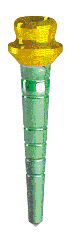 PIVOT OT EQUATOR 10 MM x 1 PZ Conservativa - PIVOT OT EQUATOR 10 MM x 1 PZ