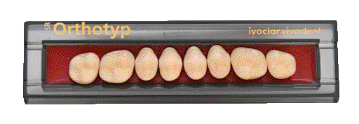 SR ORTHOTYP X8 COL.1D N2S IVOCLAR Laboratorio - SR ORTHOTYP X8 COL.1D N2S IVOCLAR