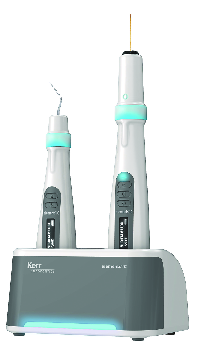 ELEMENTS IC OBTURATION SYSTEM Cementi - ELEMENTS IC OBTURATION SYSTEM