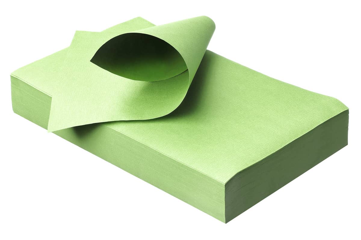 Tray Paper  Color Verde Chiaro cm.18x28